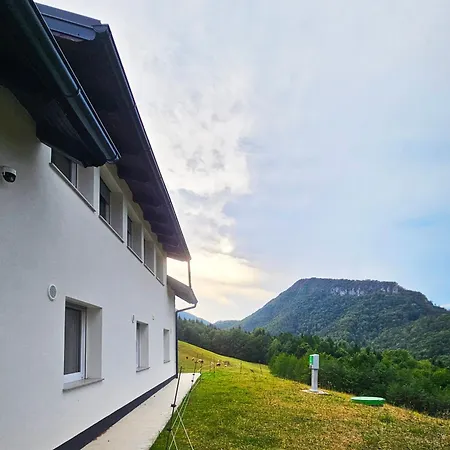 Forest Hill Apartma