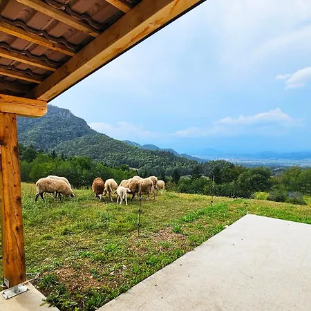 Forest Hill Apartma *